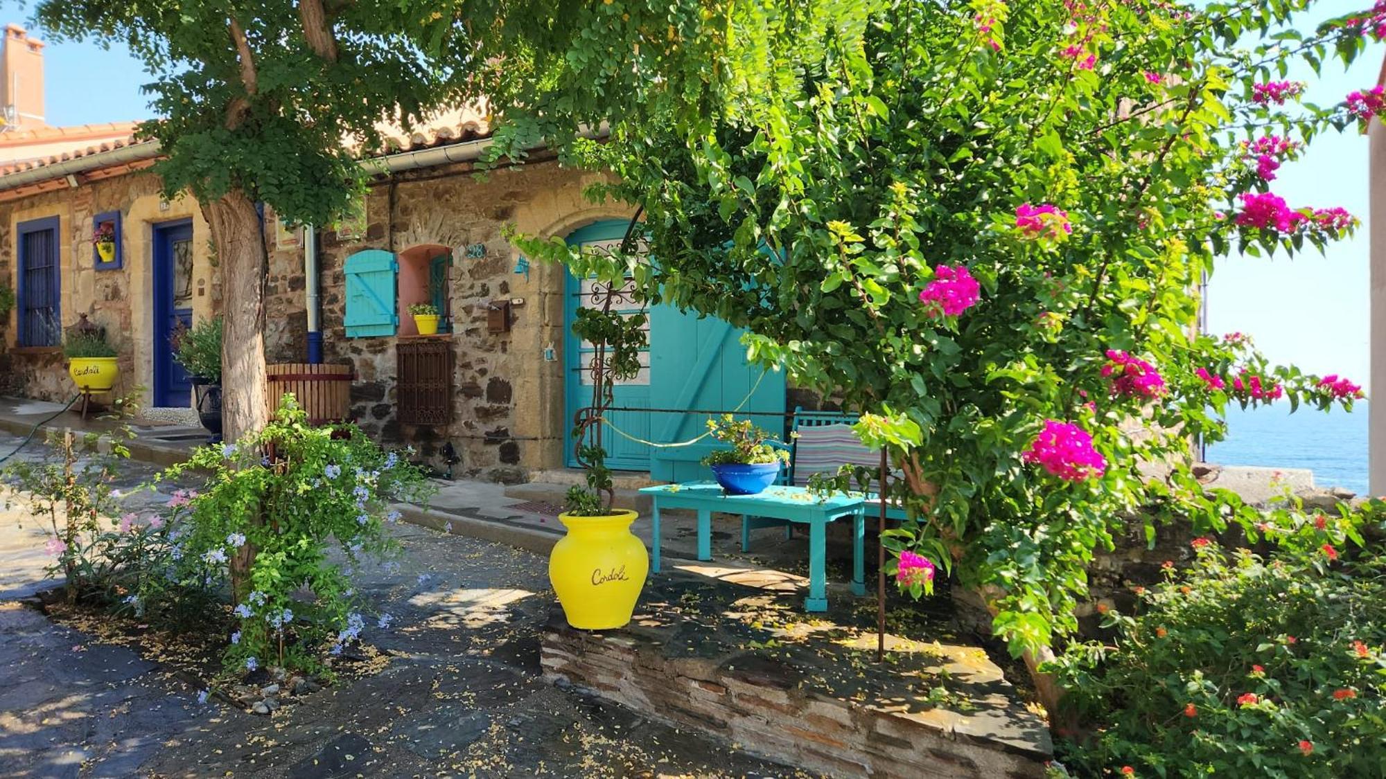 Maison Sur La Roche, Vue Exceptionnelle, Quartier Des Peintres, Calme, Clim Et Wifi, Parking Prive, Plages A Pied *